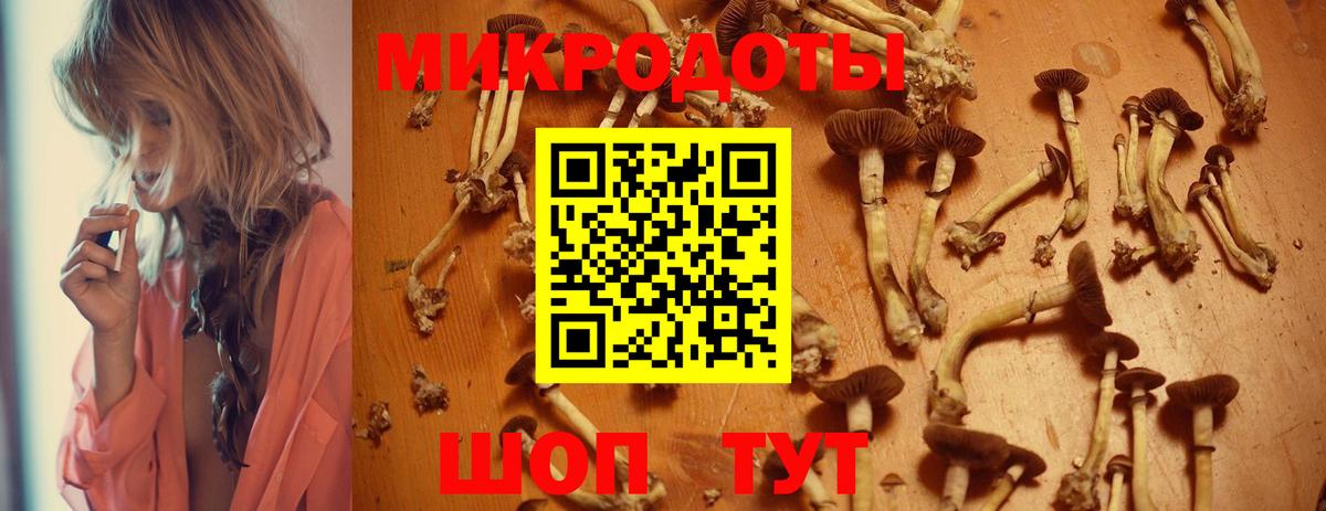 Псилоцибиновые грибы MAGIC MUSHROOMS  Вход с VPN  Галлюциногенные грибы Psilocybe  Кстово 